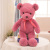 Super Soft Ten-Color Bear Color Ribbon Teddy Bear Plush Toy Doll Doll for Babies Birthday Gift for Girl Friend