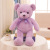 Super Soft Ten-Color Bear Color Ribbon Teddy Bear Plush Toy Doll Doll for Babies Birthday Gift for Girl Friend