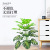 Nordic Artificial Plant Monstera Potted Indoor Living Room Landscaping Decoration Fake Green Plant Fairy Leaf Bionic Buddha Hand Leaf