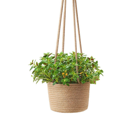 Indoor Hanging Flowerpot Woven Plant Basket up to 17.78cm Flowerpot Plant Hook Modern Storage