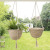 25cm Papyrus Hanging Basket Chlorophytum Plant Corn Rope round Hang Rope Flower Pot Hanging Basket Storage Basket Flowers