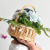 New Online Influencer Tassel Portable Flower Basket Packaging Flower Basket Handmade Vine Woven Floriculture and Floral Arrangement Gift Straw Wood Piece