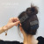 Dongdaemun Shredded Hairpin Back Head BB Clip Ins Simple All-Match Bang Clip Internet Celebrity Side Clip Black Clip
