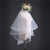 In Stock Wholesale New Double Rounds Hair Comb Bridal Veil Korean Style Short Exquisite Lace Applique Wedding Veil