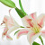 Artificial Flower 3D Printing Hand Feeling Perfume Lily Wedding Home Decorative Flower Ornament Fake Flower Factory Wholesale