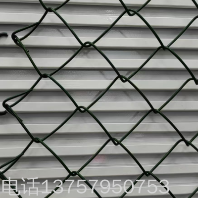 Diamond-Shaped Network PVC Diamond-Shaped Network Protective Fence Export Quality Assurance Quality Football Field Net Basketball Court Net