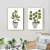 Green Plant Landscape Painting Hallway Oil Painting Plant Corridor Cloth Painting Master Bedroom Hanging Painting Leaves Fresh Potted Painting