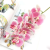 3DLate Butterfly Orchid Flowers 9 Heads Real Touch Good Quality Artificial Phalaenopsis Orchid 40" for Home Floral Decor