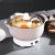 Factory Direct Sales Multi-Functional Electric Chafing Dish Electric Caldron Dormitory Small Household Appliances Student Multi-Purpose Pot Takeaway Hot Pot