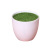 Supply with Foam Artificial Flower Flower Arrangement Bright Plastic Flower Pot Succulent Gardening Plant Small Imitation Flower Pot