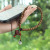 Natural Kalimantan Eaglewood Mobile Phone Lanyard Women's Short Wrist Strap Retro Chinese Style Mobile Phone Charm Hanging Ornaments