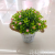 New Artificial Flower Iron Bucket Starry Sky Greenery Bonsai Decorative Living Room Bedroom Dining Room Fake Flower