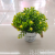 New Artificial Flower Iron Bucket Starry Sky Greenery Bonsai Decorative Living Room Bedroom Dining Room Fake Flower