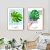 Green Plant Landscape Painting Maple Leaf Oil Painting Plant Corridor Cloth Painting Master Bedroom Hanging Painting Leaves Fresh Potted Painting