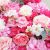 Artificial Flower Plant Strong Factory Direct Sales High-End Rose Hydrangea Silk Flower Wedding Decoration Website Red Background Artificial Flower Wall