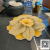 Modern Minimalist Cashmere-like Bauhinia Carpet Home Living Room Sofa and Tea Table Non-Slip Mat 