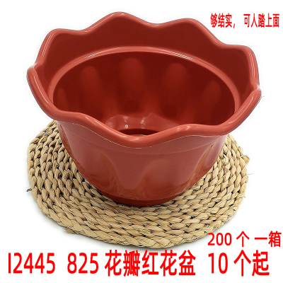 I2445 825 Petal Red Flowerpot Plastic Kitchen Sink Balcony Vegetable Planting Will Sell Gifts Gifts Batch Goods