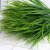 Factory Wholesale 7 Fork Small Spring Grass Plastic Flowers Pot Partition Decoration Simulation Water Plants Fake Grass Restaurant Rice Seedling Plants