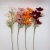 Single Silk Flower Artificial Flower Six Head Big-Sized Cherry Wedding Flower Arrangement Factory Foreign Trade Artificial Flowers Manufacturer