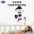 Aipinqi New Colorful Animal Baby Stroller Bed Bell Newborn Baby Comfort Suspension Umbrella Toys Wholesale