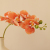 Hand-Feeling Short-Branch Phalaenopsis Artificial Flower High Quality Fake Flower Single Stem Living Room Interior Home Ornament and Decoration