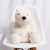 Factory in Stock Polar Bear Doll Wholesale Cute Plush Toy Big Doll Gift for Children Soft and Adorable Doll