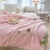 Summer Camellia Skin-Friendly Summer Quilt Sheet Double Air Conditioning Duvet Machine Washable Summer Blanket Live Gifts Thin Duvet Wholesale