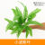 Artificial Green Plant Large Persian Wall Hanging Grass Persian Leaf Sago Cycas Plant False Leaf Decorative Accessories Grass Trees