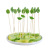 Factory Direct Supply 100 Pieces Disposable Creative Fruit Toothpick Leaves Shape KTV Fruit Plate Stick 12cm Large Quantity and Excellent Price