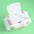 Wet Wipes Cartoon Schoolbag Wet Tissue Cover 40 Pieces Small Bag Wet Wipes Carry-on Baby Wet Wipes Wholesale