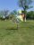 New Color Film Material Eight Windmill Catch the Bird Decorative Park Display Outdoor Decorating Windmill Factory Direct Sales