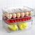 Refrigerator Storage New Pet Refrigerator Storage Box Egg Capsule Toy Grid Crisper Plastic Transparent Wonton Dumplings Box