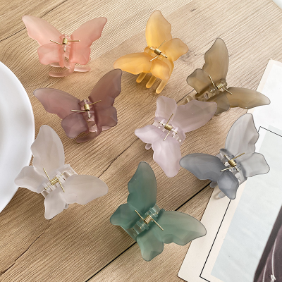 Online Influencer Cute Sweet Colorful Transparent Small Butterfly Clamp Hairpin Bang Clip Fairy Braided Hair Clip Hair Claw Clip