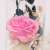 Factory Direct Sales Luminous Rose Dried Flower Transparent Acrylic Cover Gift Box 520 Valentine's Day Gift Decoration