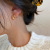 Ear Studs Niche Design Korean Ear Ring High-Grade Classic Style Earrings Light Luxury Half Circle High-Grade Female Temperament Earrings