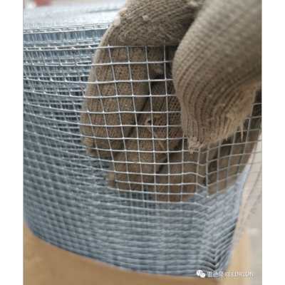 Post Hot Dip Welded Wire Mesh 1/4 "/Hot-Dip Galvanized Welded Wire Mesh 1/4"