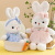 Cute Little White Rabbit Doll Daisy Rabbit Plush Toy Children Doll Girl Doll Birthday Gift Gift Wholesale