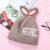 Children's Hat Autumn and Winter Fur Ball Wool Knitted Hat Core-Spun Yarn Thick Baby Baby Warm Protection Sleeve Cap