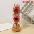 Furniture Furnishing Articles Dried Flower Glass Cover LED Light