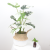 Nordic Artificial Plants Ground  Ornaments Indoor Living Room Decoration Bunches of Green Plants Potted Plants