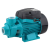 Peripheral High Pressure Pedrollo,Shimge,Leo Design QB model 0.5Hp,0.75Hp,1Hp pump