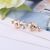New Creative Cross-Border Foreign Trade Stud Earrings for Women 36 Pairs Love Gift Box Earrings Simple Sweet Ornament Yiwu