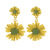 2020 New Fresh Sweet All-Matching Little Daisy Stud Earrings Japanese Temperament Earrings Female Trend Ornament