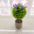 New Artificial Flower Pulp Basin Ball Lavender Flower Bonsai Decoration Living Room Bedroom Dining Room Decoration