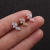 Foreign Trade New Leaf Stainless Steel Studs Pentagram Zircon Ear Bone Stud Screw Earrings Cross-Border Puncture