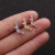 Foreign Trade New Leaf Stainless Steel Studs Pentagram Zircon Ear Bone Stud Screw Earrings Cross-Border Puncture