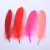 Factory Direct Sales High Quality Swan Hair DIY Color Hard Floating Feather Stage Clothing Decoration Accessories Feather Wholesale