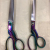 Advanced 8-12-Inch Tailor Scissors