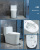 Engineering Hotel Wholesale Adult Toilet Household Small Apartment Ceramic Sanitary Ware Bathroom Siphon Toilet