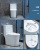 Engineering Hotel Wholesale Adult Toilet Household Small Apartment Ceramic Sanitary Ware Bathroom Siphon Toilet